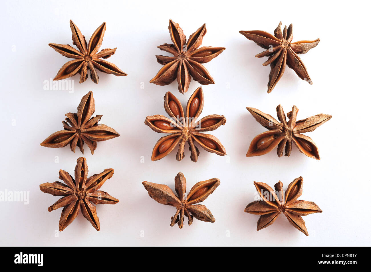 ANICE STELLATO Foto Stock