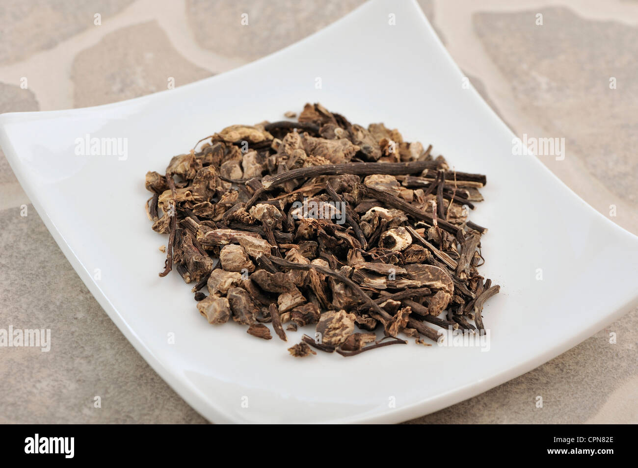 COHOSH NERO Foto Stock