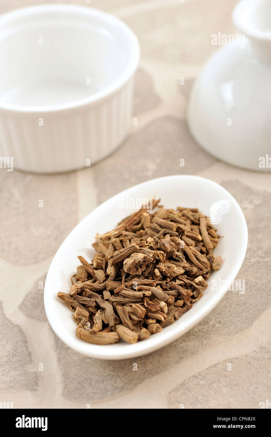 VALERIANA Foto Stock