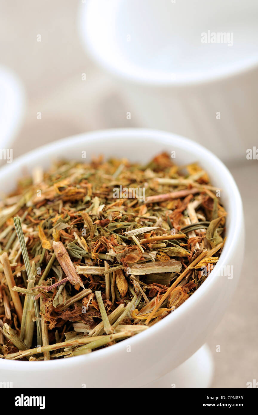 SAINT JOHN'S WORT Foto Stock