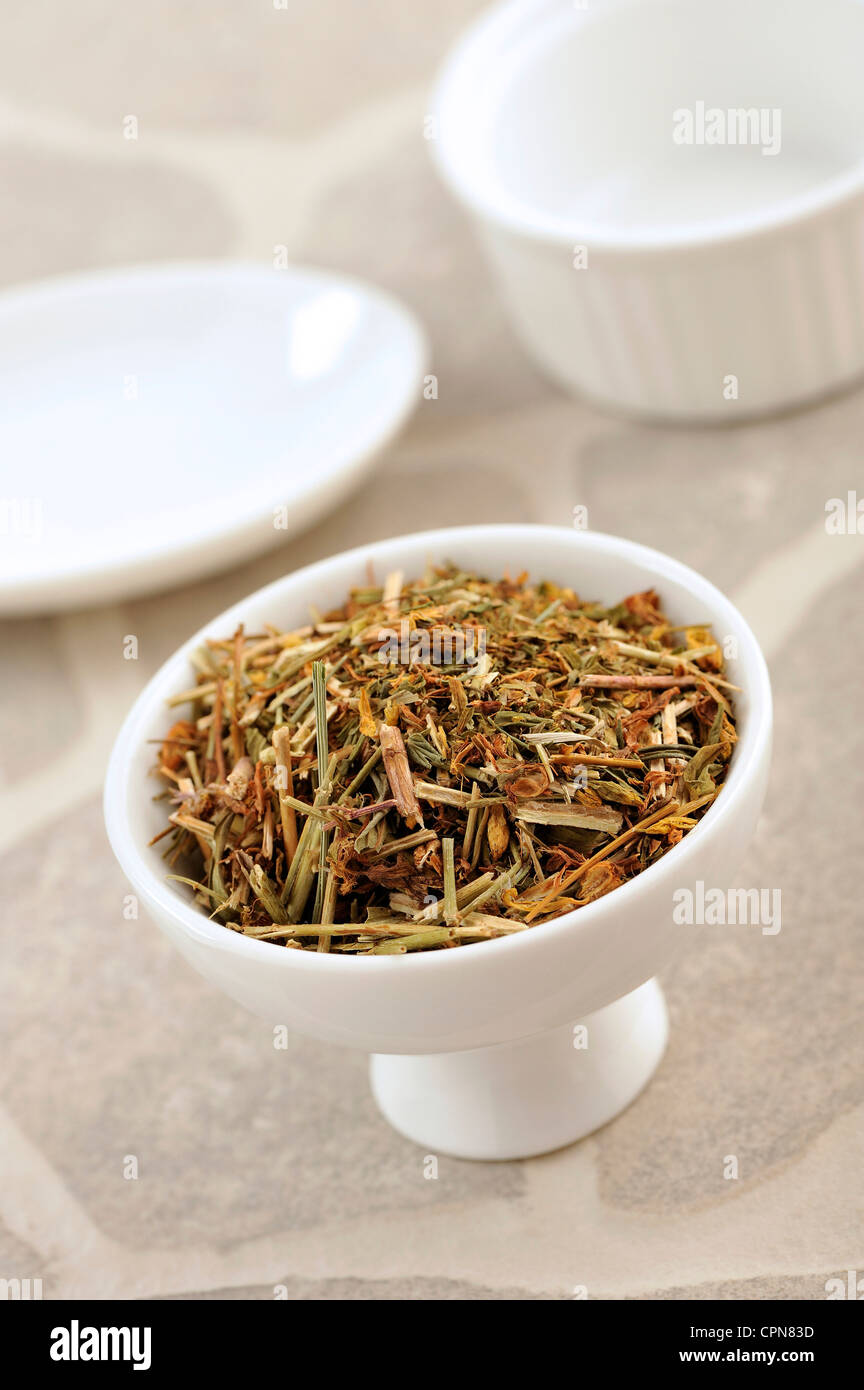 SAINT JOHN'S WORT Foto Stock