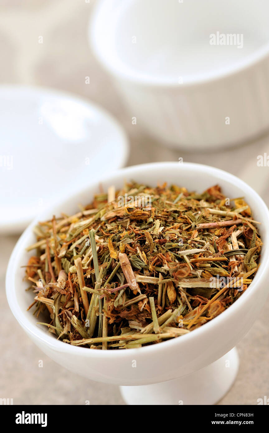 SAINT JOHN'S WORT Foto Stock