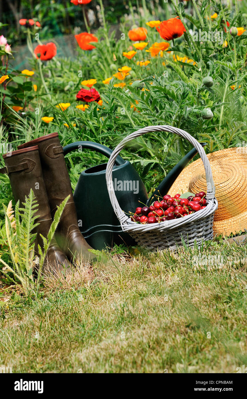 wait suit Look back Cesto di ciliegie e cappello di paglia in un giardino fiorito Foto stock -  Alamy