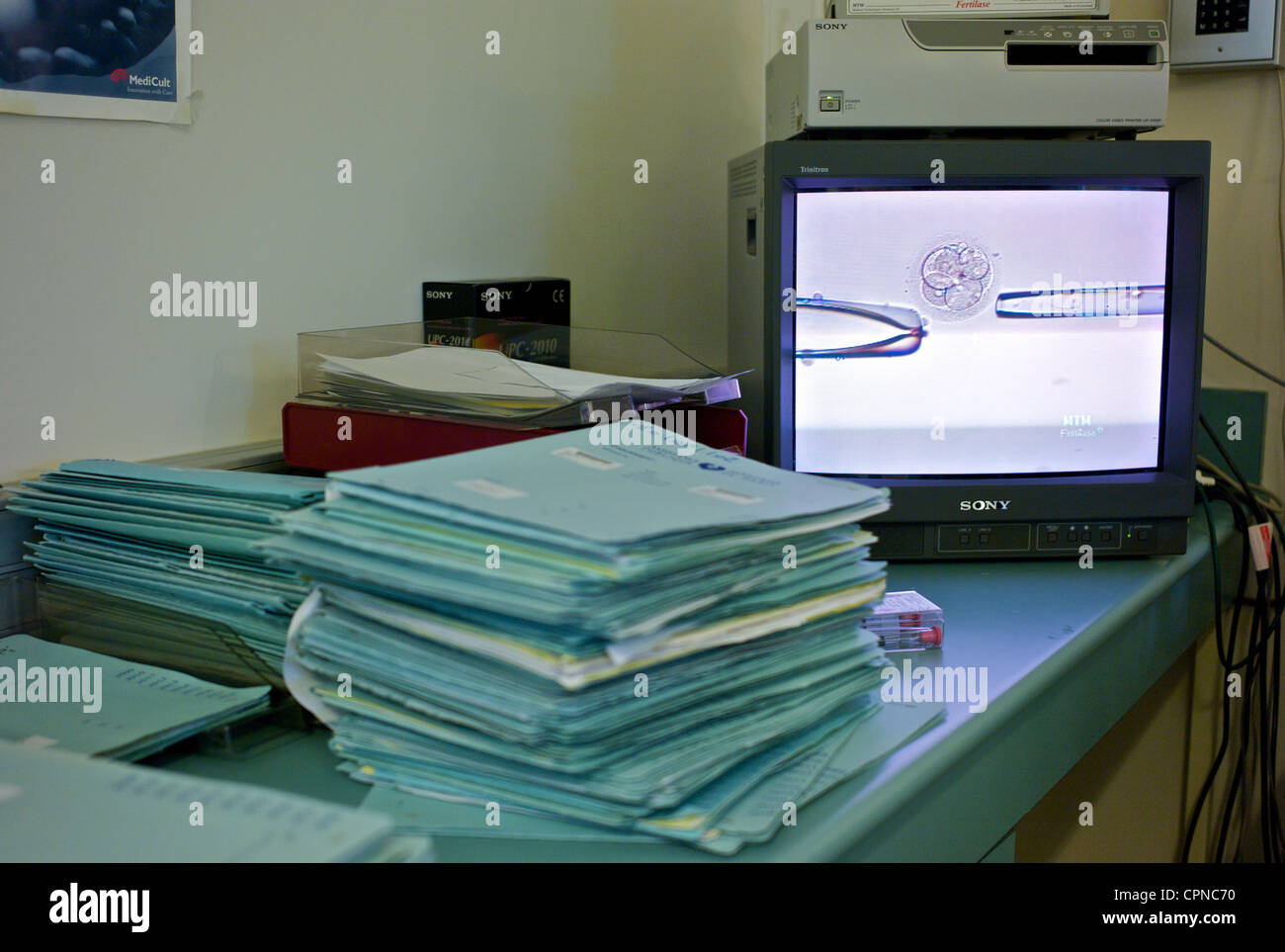 FECONDAZIONE IN VITRO Foto Stock