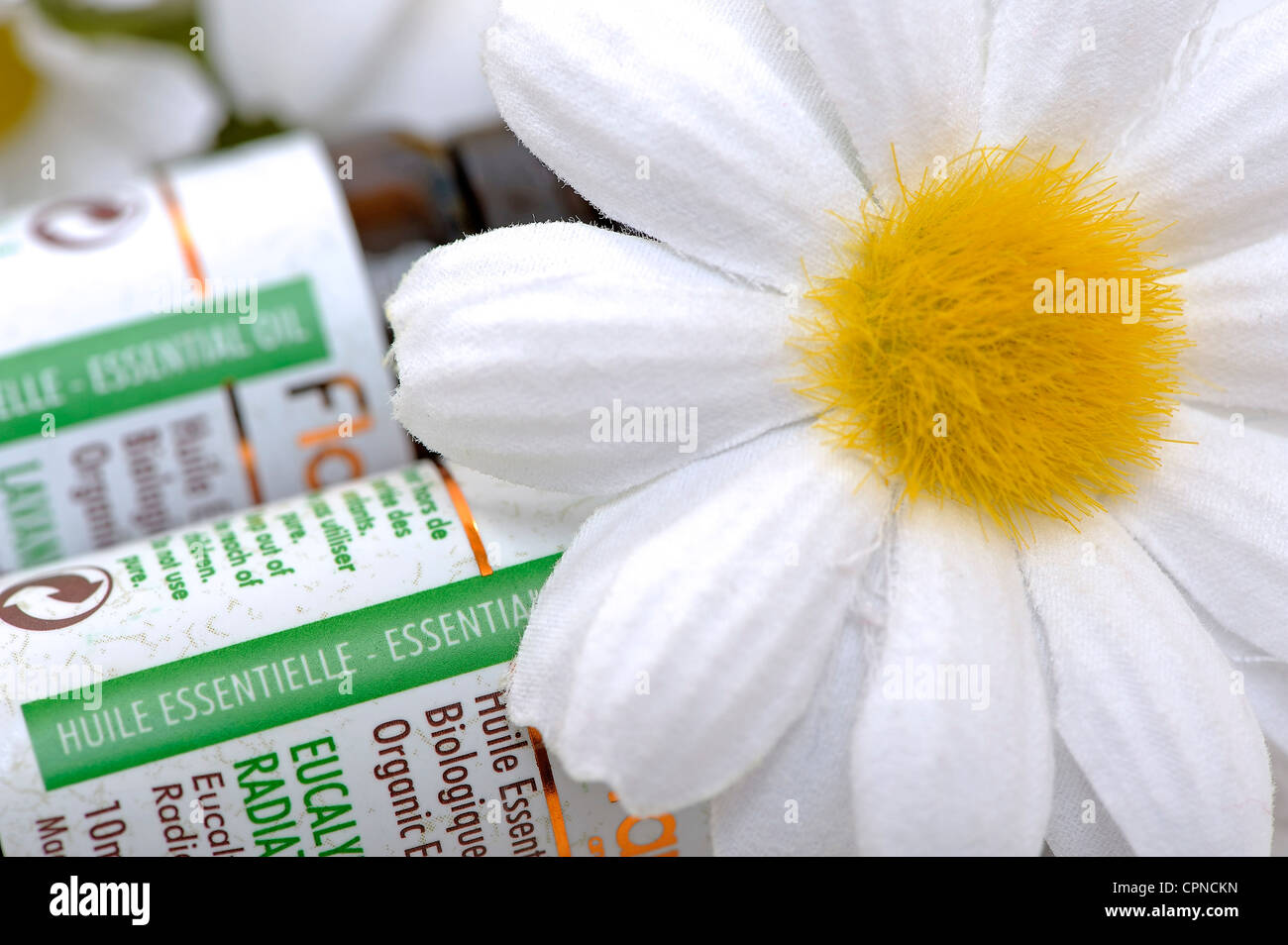 OLIO ESSENZIALE Foto Stock