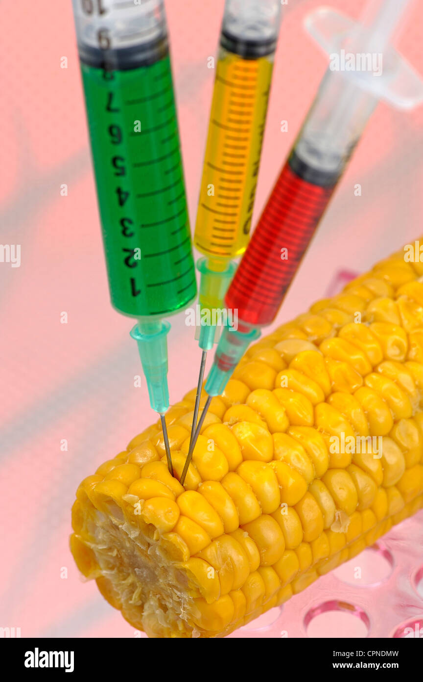 La biotecnologia, OGM Foto Stock