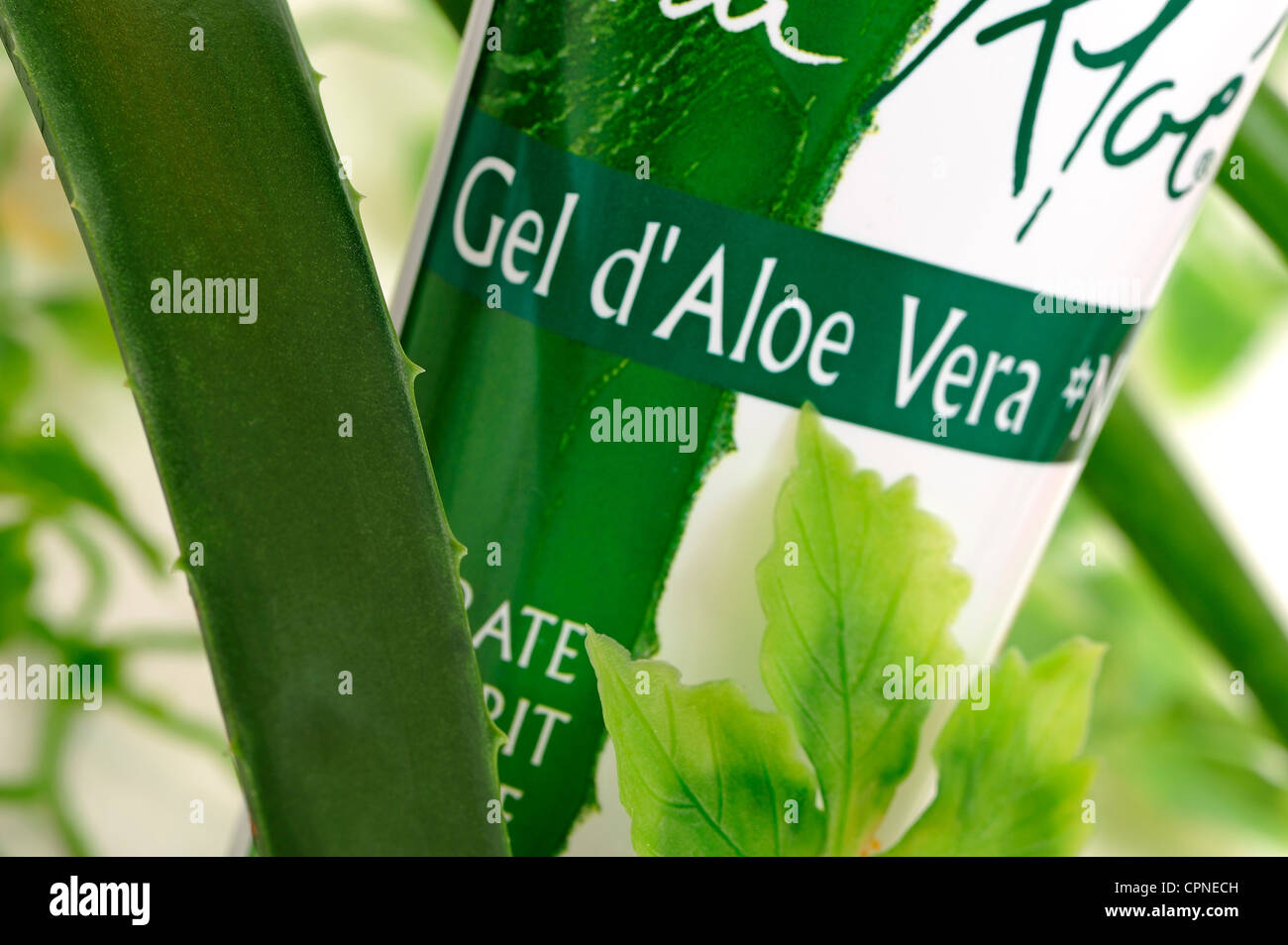 Cosmetici biologici Foto Stock