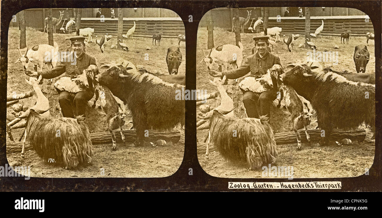 Persone, professione, animalista, Zoo di Hagenbeck, immagine stereoscopica, Amburgo, Germania, circa 1895, diritti aggiuntivi-clearences-non disponibile Foto Stock