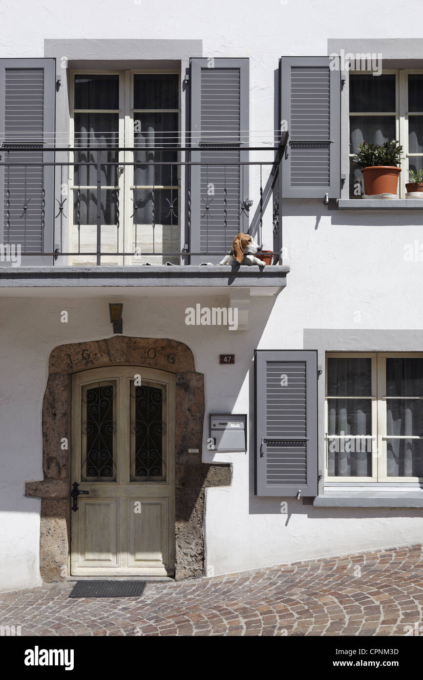 Cane su una casa con balcone sulla Rue des Chateaux che conduce ai castelli di valere, Tourbillon e Majorie a Sion in Svizzera Foto Stock