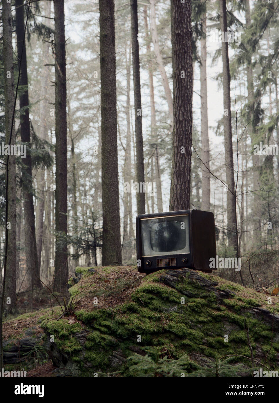 Trasmissione,televisione,televisione,set nella foresta,Grundig(1954),Germania,nebbia,Grundig televisore,simbolo,simboli,immagine simbolo,simbolico,simbolico,tecnologia,ingegneria,tecnologie,natura,smaltimento rifiuti,rifiuti,rifiuti,rifiuti,rifiuti,e-rifiuti,buttare via,gettare via,gettare via,gettare via,rottamare,rottamare,rottamare,smaltire,gettare via,gettare via,gettare via,gettare via,gettare via,gettare via,gettare via,gettare via,gettare via,gettare via,gettare via,gettare via,gettare via,gettare via,gettare via,gettare via,gettare via,gettare via,gettare via,gettare via,gettare via,gettare via,gettare via,gettare via,gettare via,gettare via,gettare via,gettare via,gettare via,gettare via,gettare via, Foto Stock