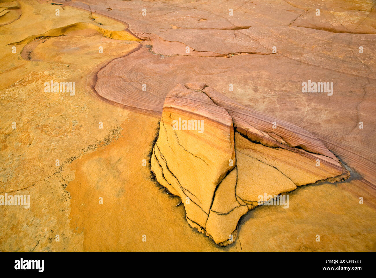 Disegno bizzarro in roccia arenaria formazione in Sud Coyote Buttes, Arizona Foto Stock