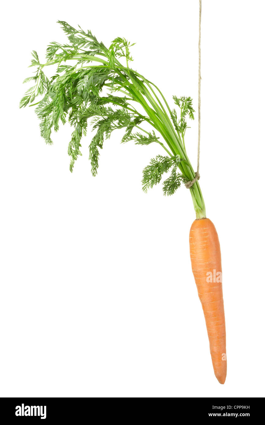 Sospensione della carota Foto Stock