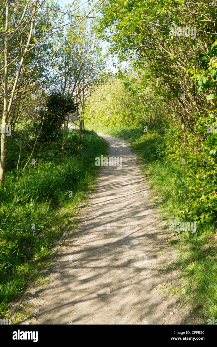 Percorso attraverso Tuckingmill Parco Valle vicino a Camborne, Cornwall Regno Unito. Foto Stock