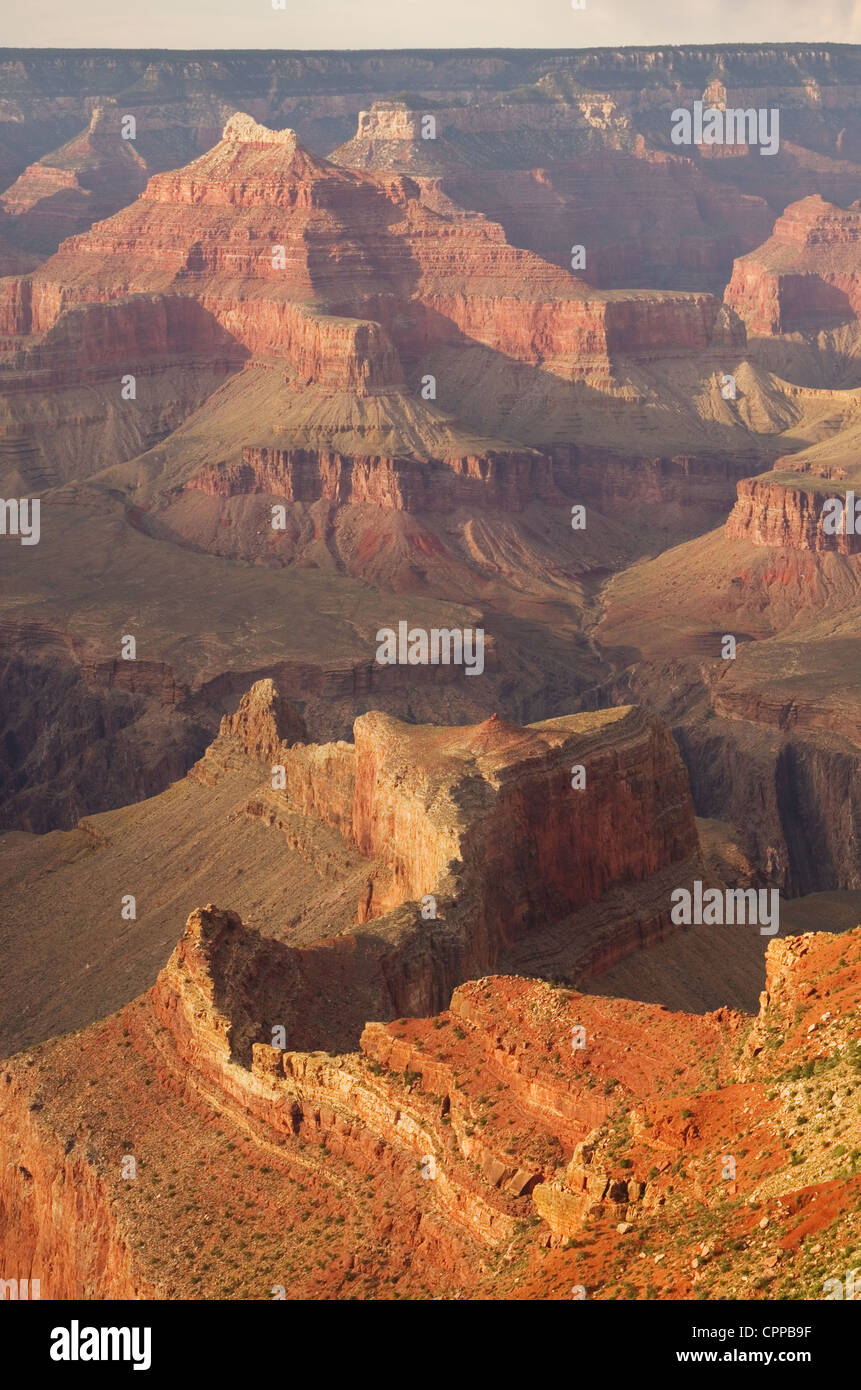 Dettaglio del Grand Canyon interno dal bordo Sud Foto Stock