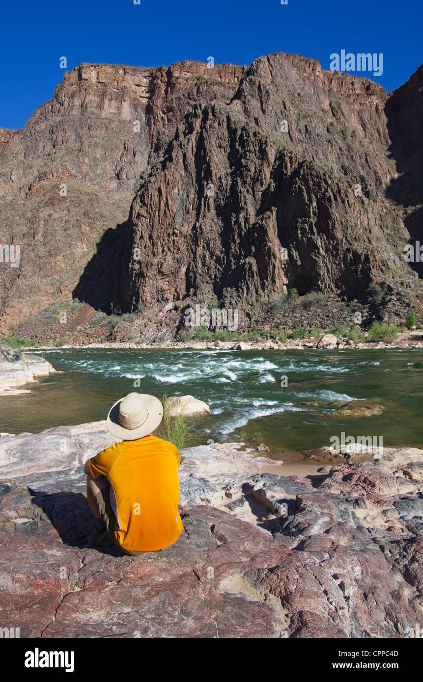 Vista posteriore di un uomo seduto su una roccia sul bordo del fiume Colorado in corrispondenza del fondo del Grand Canyon Foto Stock