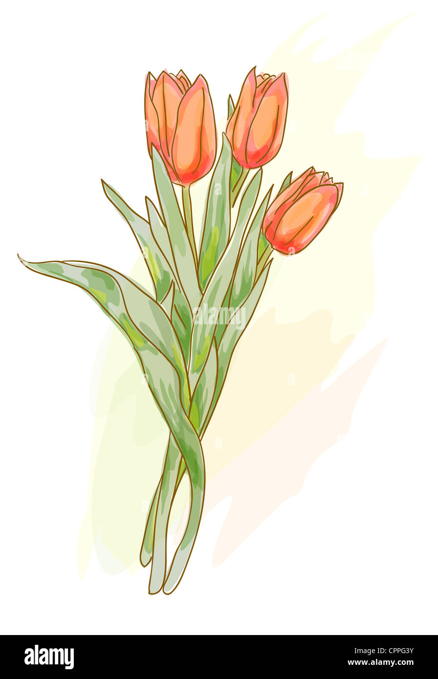 Bouquet di tulipani rossi. Stile acquerello. Foto Stock