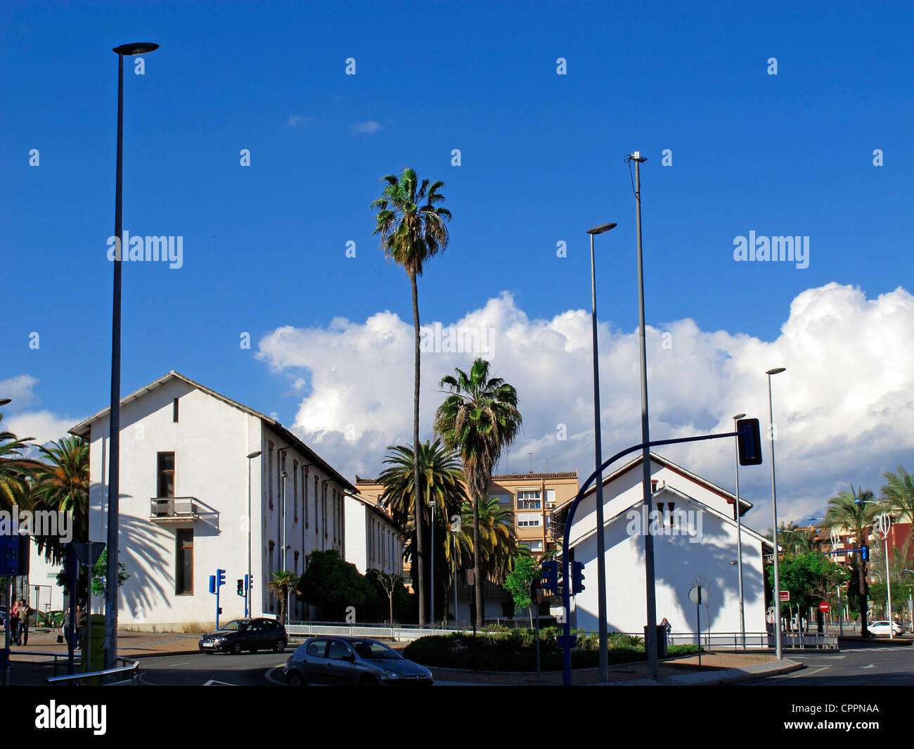 Spagna Andalusia Cordoba Palm tree tra case Foto Stock
