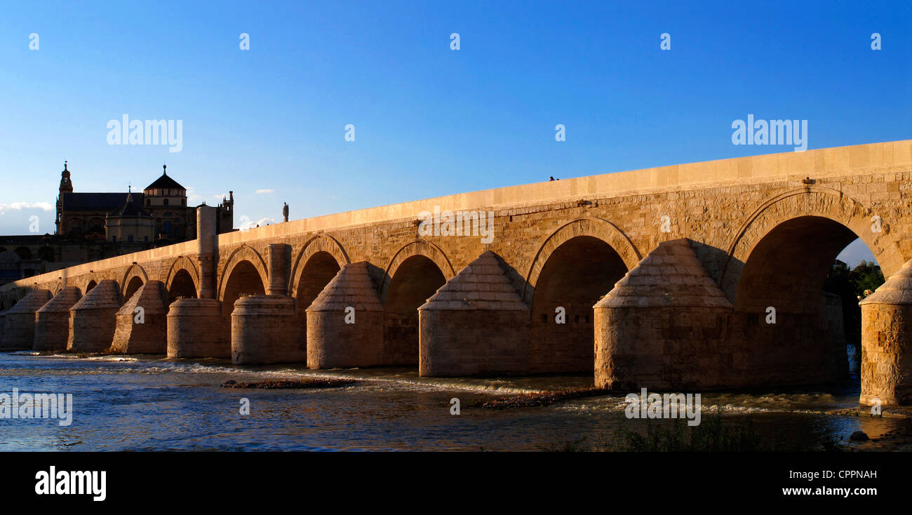 Spagna Andalusia Cattedrale Mezquita di Cordova Cattedrale e il ponte romano Foto Stock