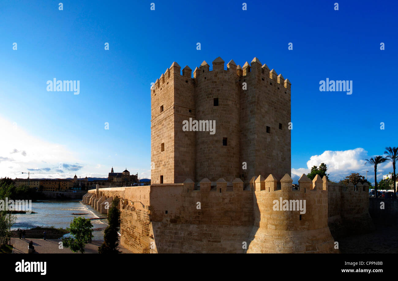 Spagna Andalusia Cattedrale Mezquita di Cordova Cattedrale e il ponte romano Foto Stock