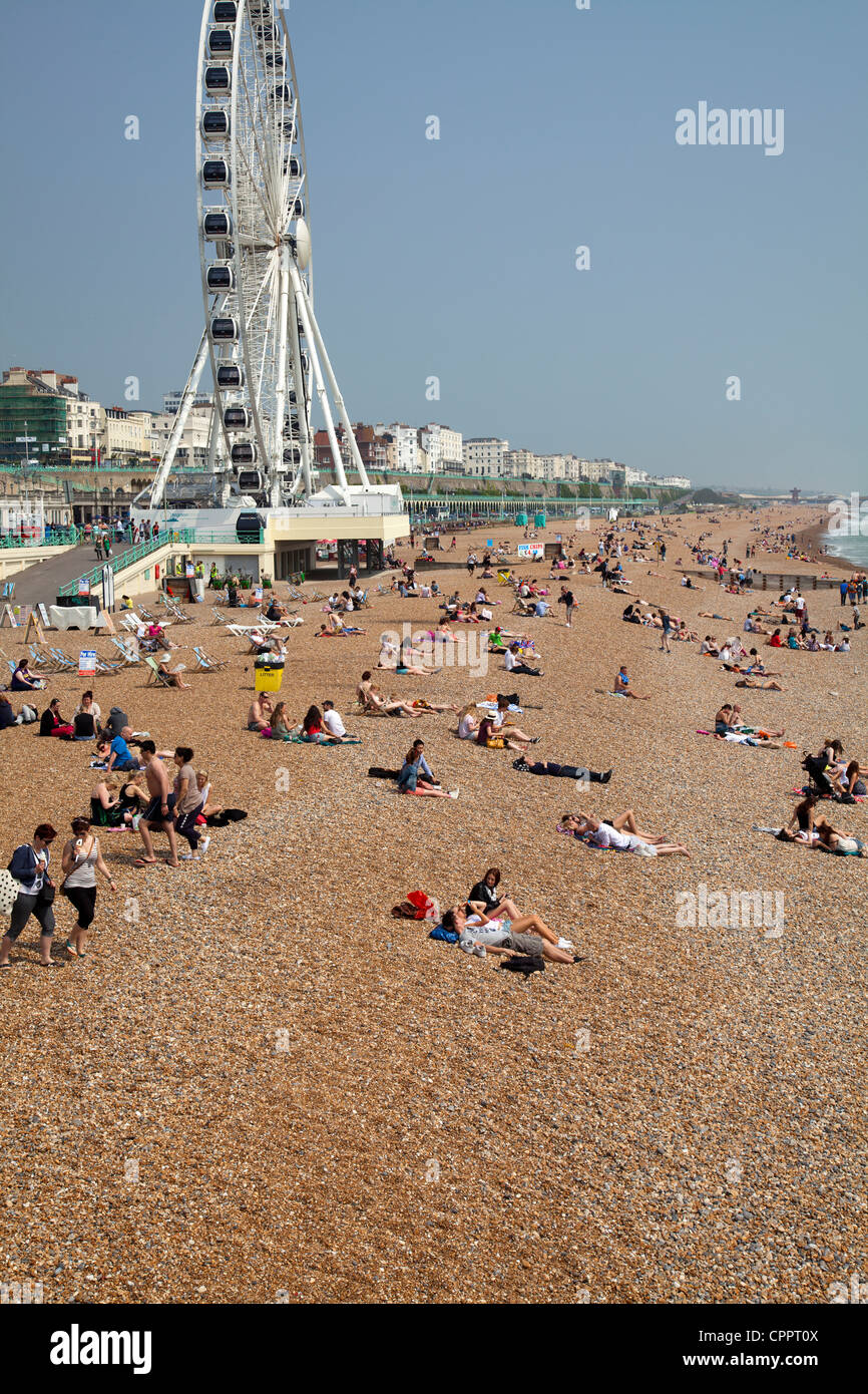 La spiaggia di Brighton Seafront in UK - Maggio caldo del meteo Foto Stock