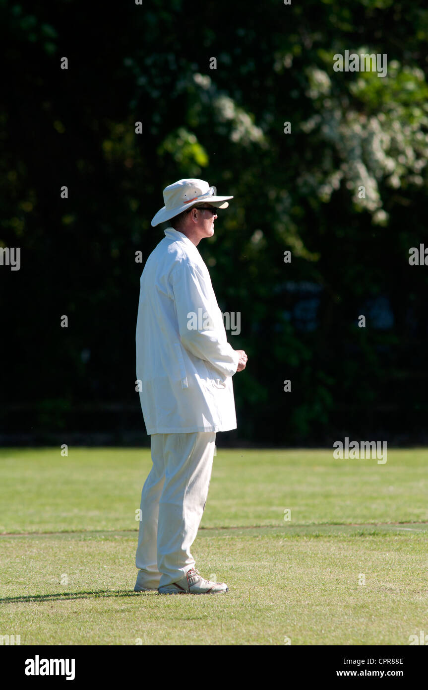 Arbitro in villaggio partita di cricket a grande Alne Foto Stock