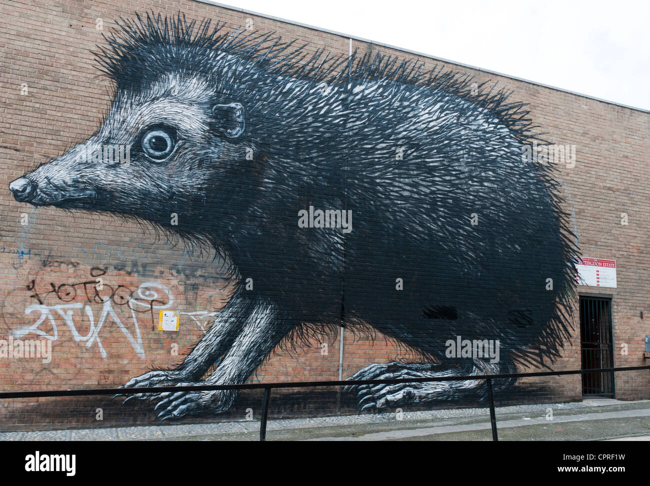 Street Art immagine di un riccio dall'artista Roa Foto Stock