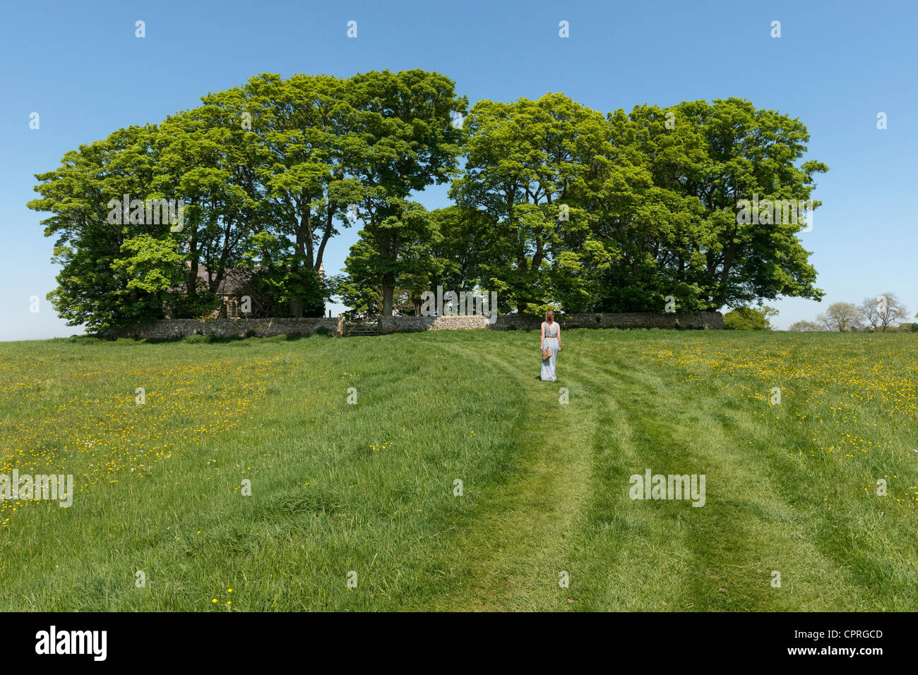 Il campo che portano a St Oswald la Chiesa a Heavenfield Foto Stock