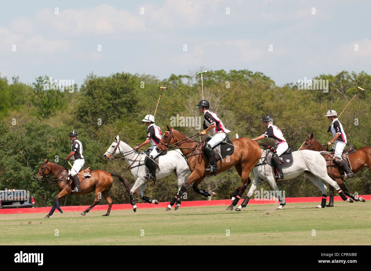 Azione durante una partita di polo a polo villaggi Club Florida USA le squadre sono State Farm & Eagle prestito primario Foto Stock