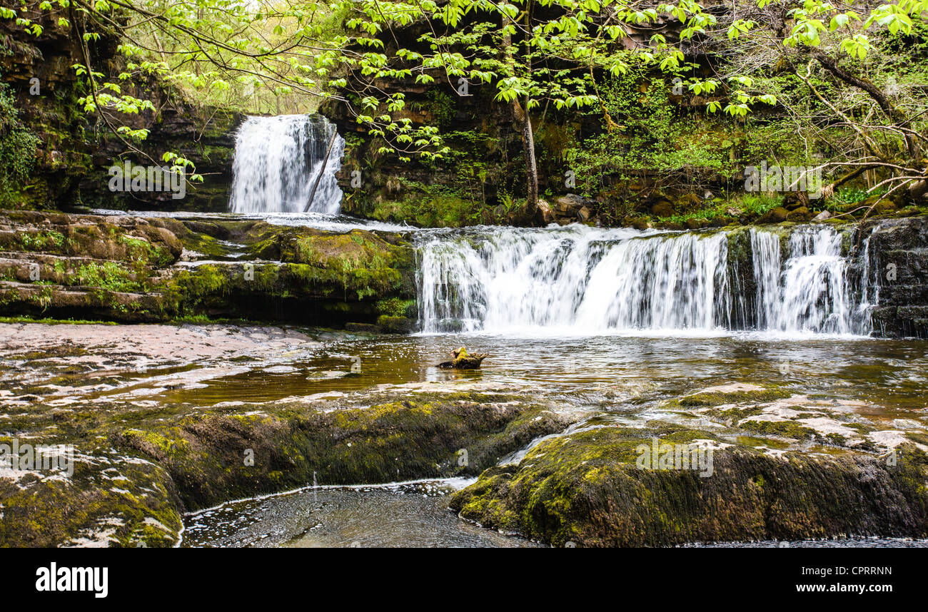 Scwd Ddwli cascate nel Nedd Fechan Valley Brecon Beacons nel Galles del Sud Foto Stock