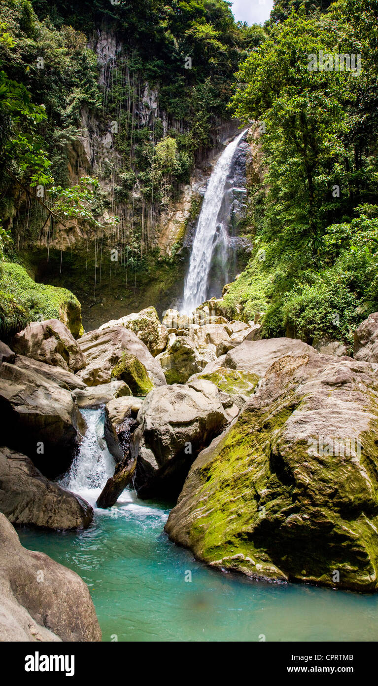 Victoria Falls vicino Delices sull'isola di Dominica Indie ad ovest e il fiume Bianco Foto Stock
