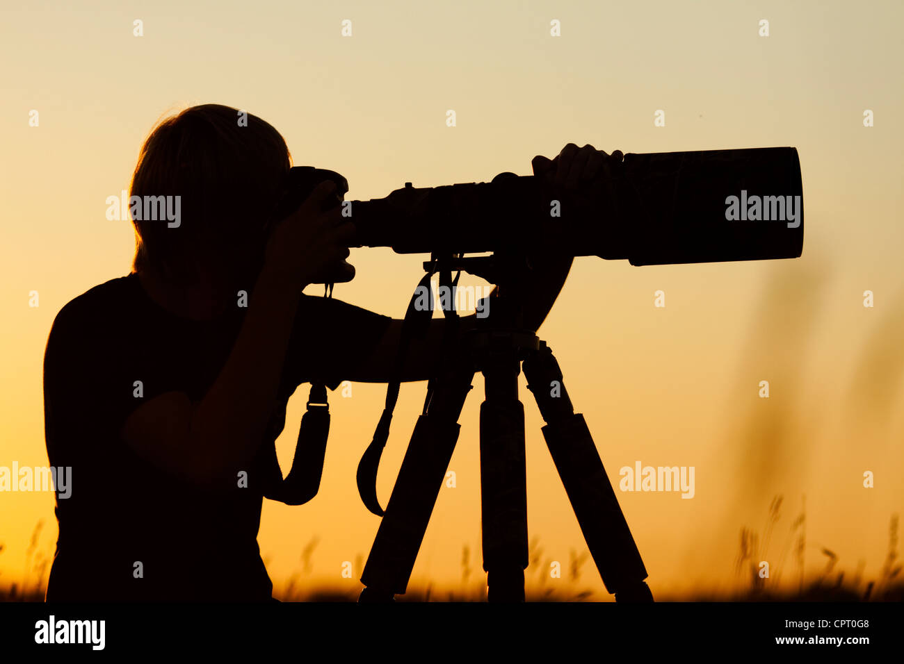 Wildlife Photographer Foto Stock