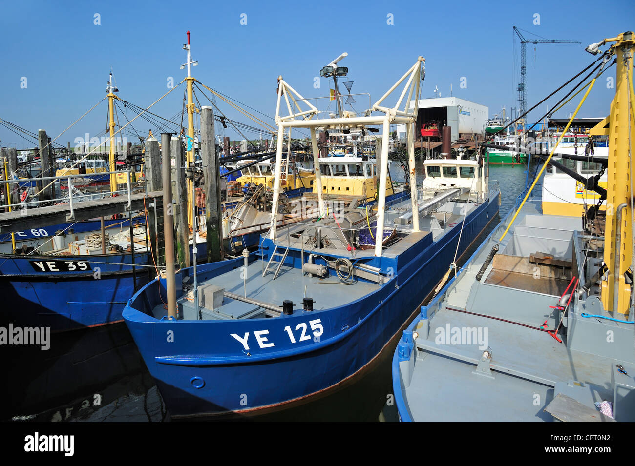 Barche da pesca / frese di mitili nel porto di Yerseke lungo la Oosterschelde / Schelda Orientale, Zelanda, Paesi Bassi Foto Stock