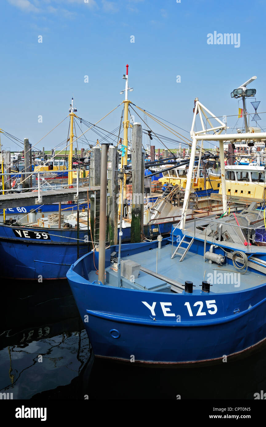 Barche da pesca / frese di mitili nel porto di Yerseke lungo la Oosterschelde / Schelda Orientale, Zelanda, Paesi Bassi Foto Stock