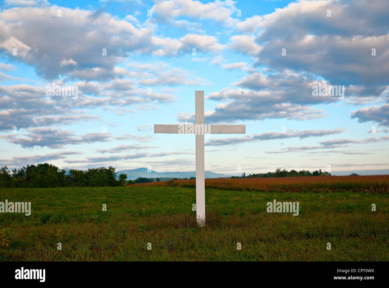 Tall la croce bianca in campo estivo, Claverack, NY Foto Stock