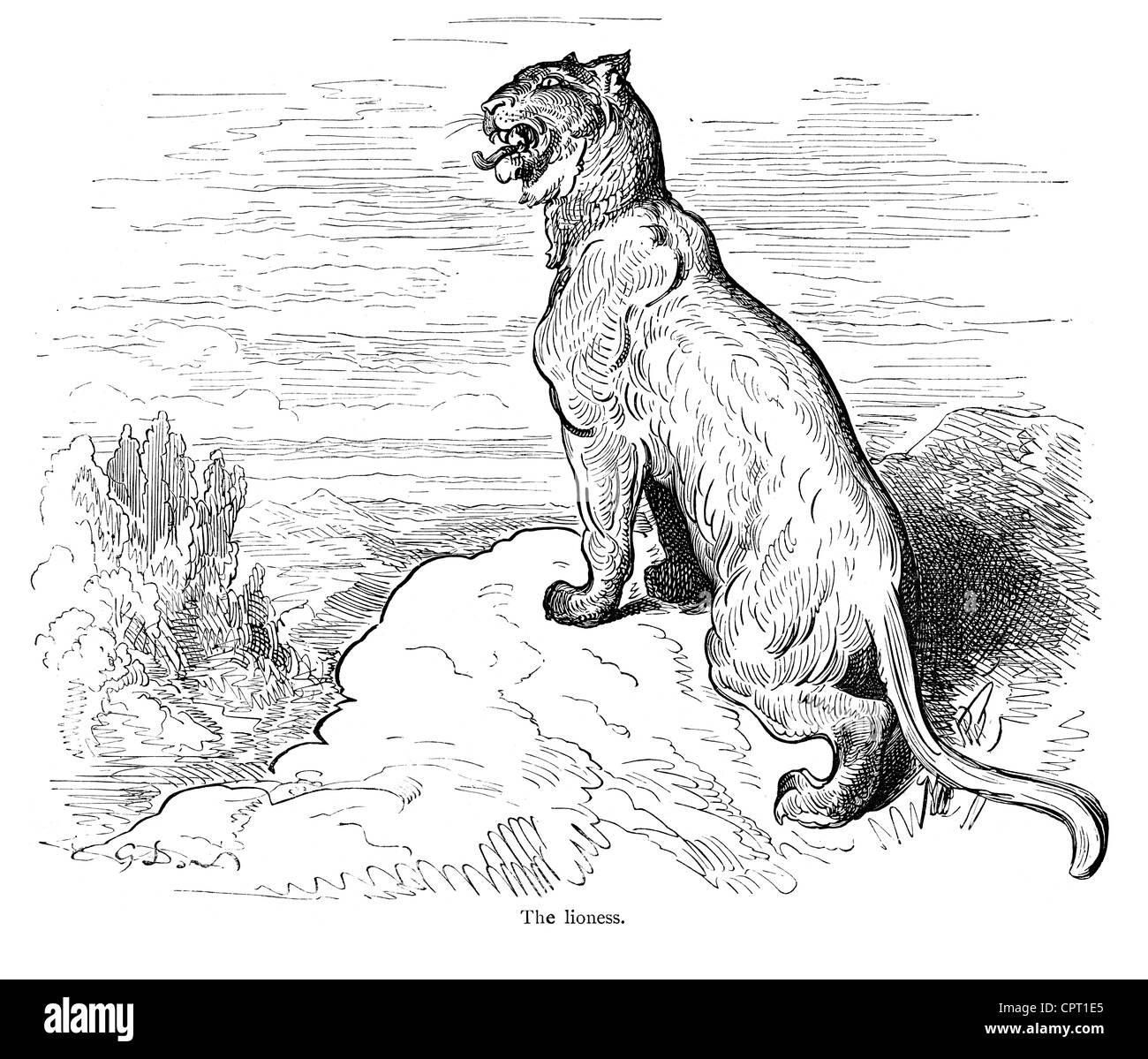 La leonessa. Illustrazione da la leggenda di Croquemitaine da Gustave Doré Foto Stock