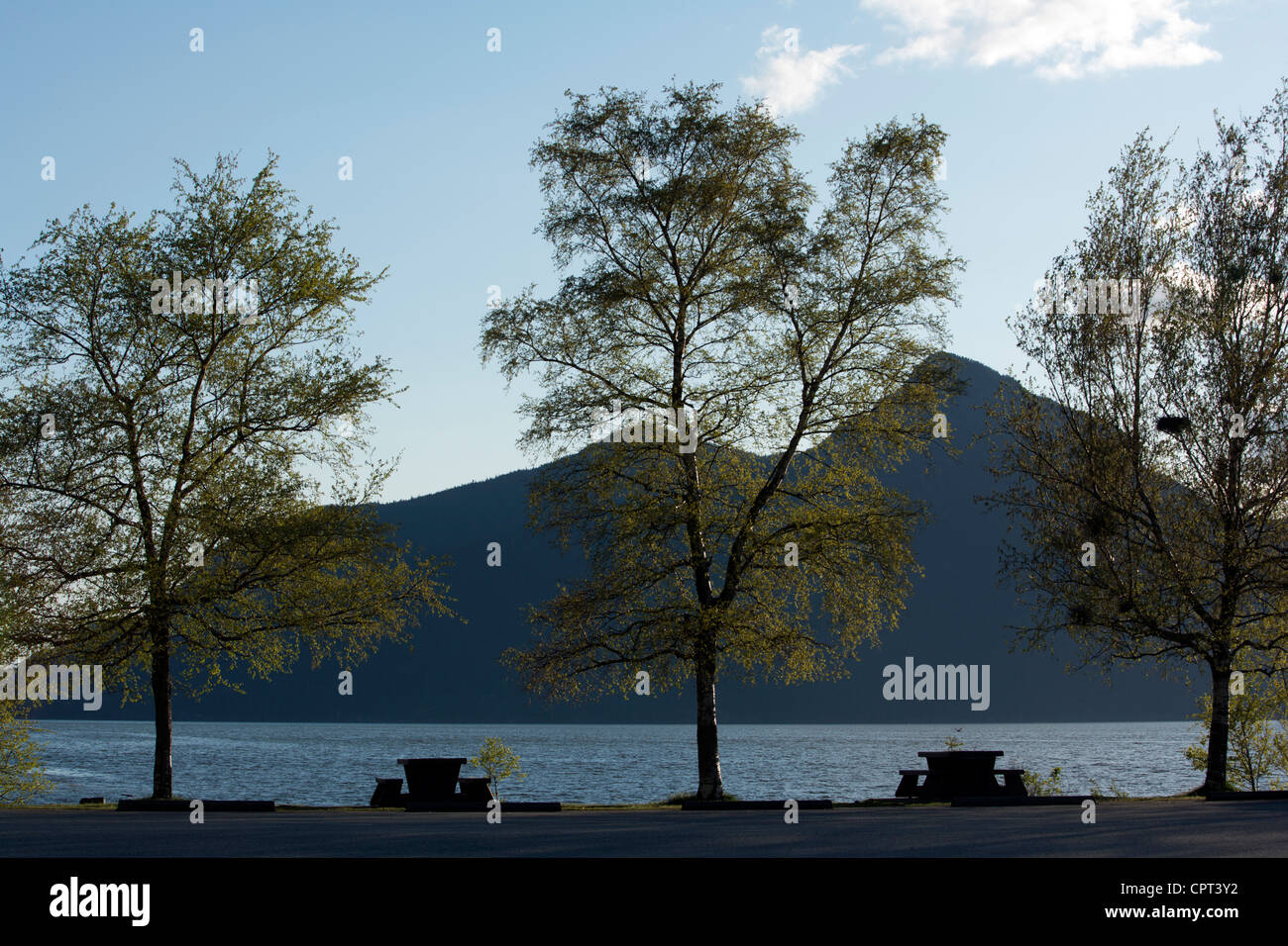 Porteau Cove Parco Provinciale - Howe Sound - Sea to Sky Highway, vicino a Vancouver, British Columbia, Canada Foto Stock