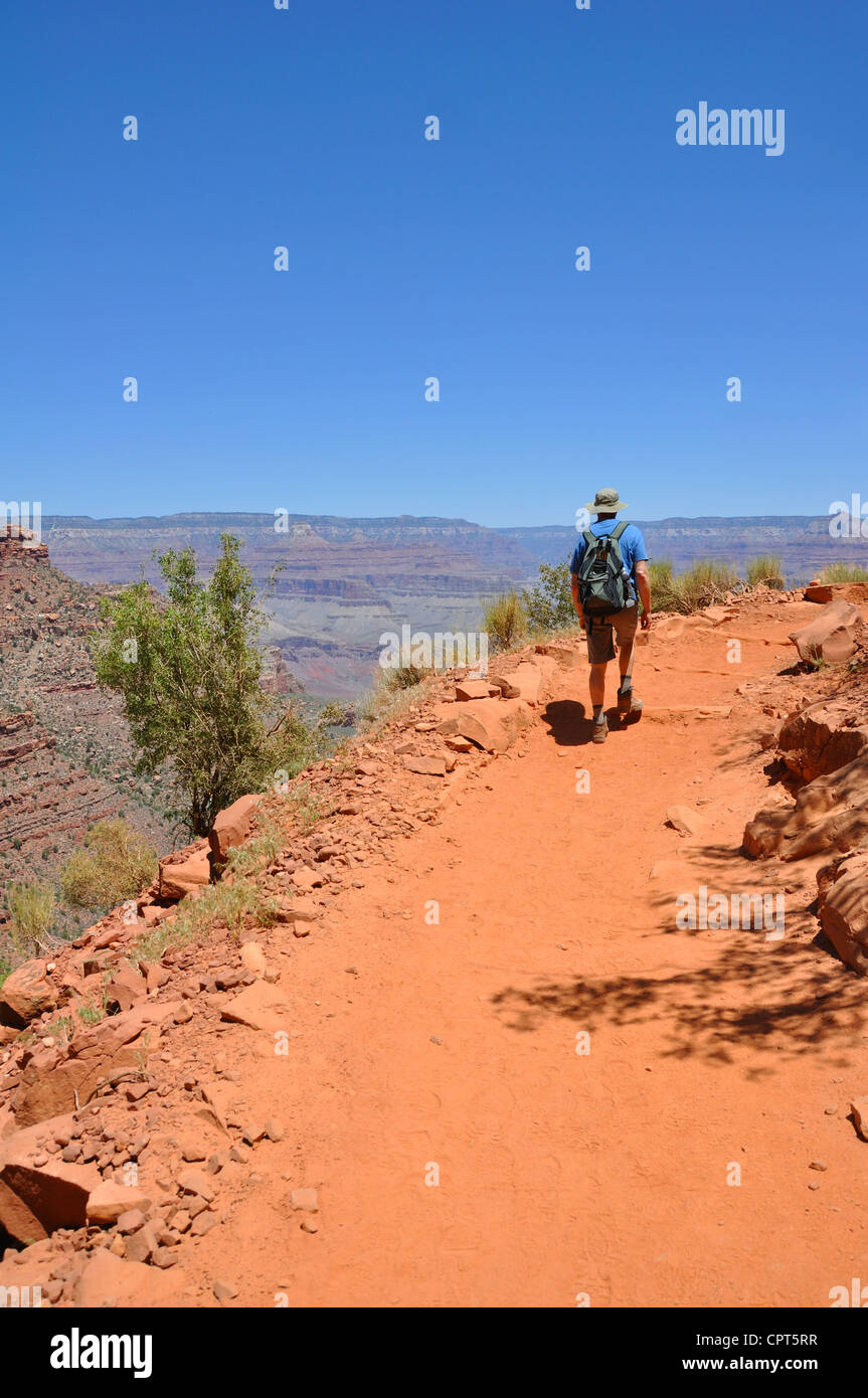 Il Bright Angel trail, Grand Canyon, Arizona, Stati Uniti d'America Foto Stock
