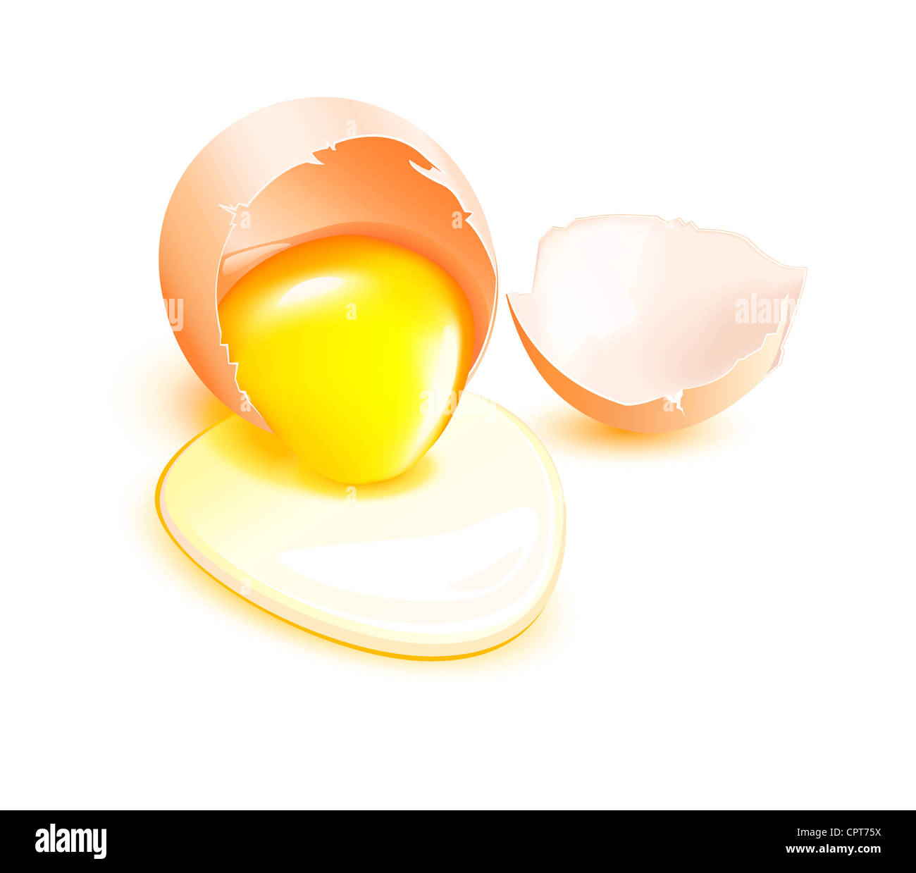 Marrone uovo rotto con flusso di tuorlo su sfondo bianco. Eps vettoriali10 illustrazione Foto Stock