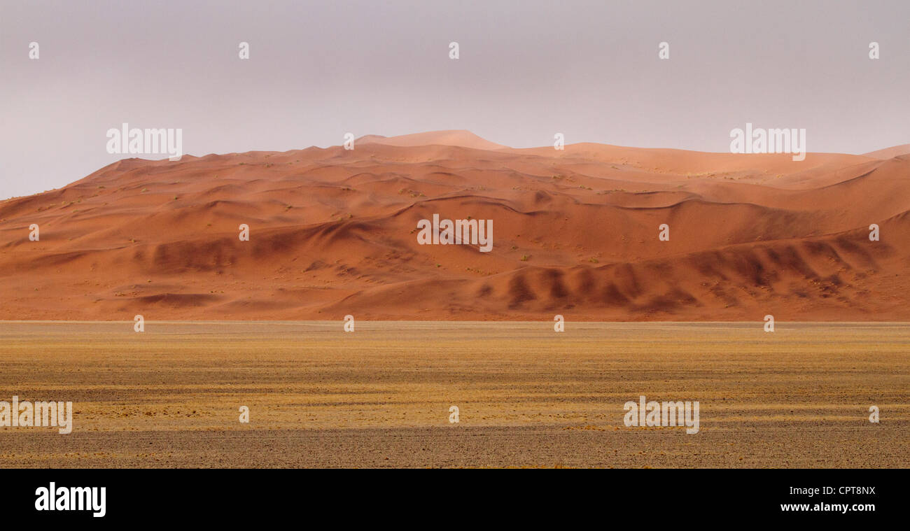 Namib, sabbia deserto sabbioso, Sossusvlei, Namibia (CTK foto/Ondrej Zaruba) Foto Stock