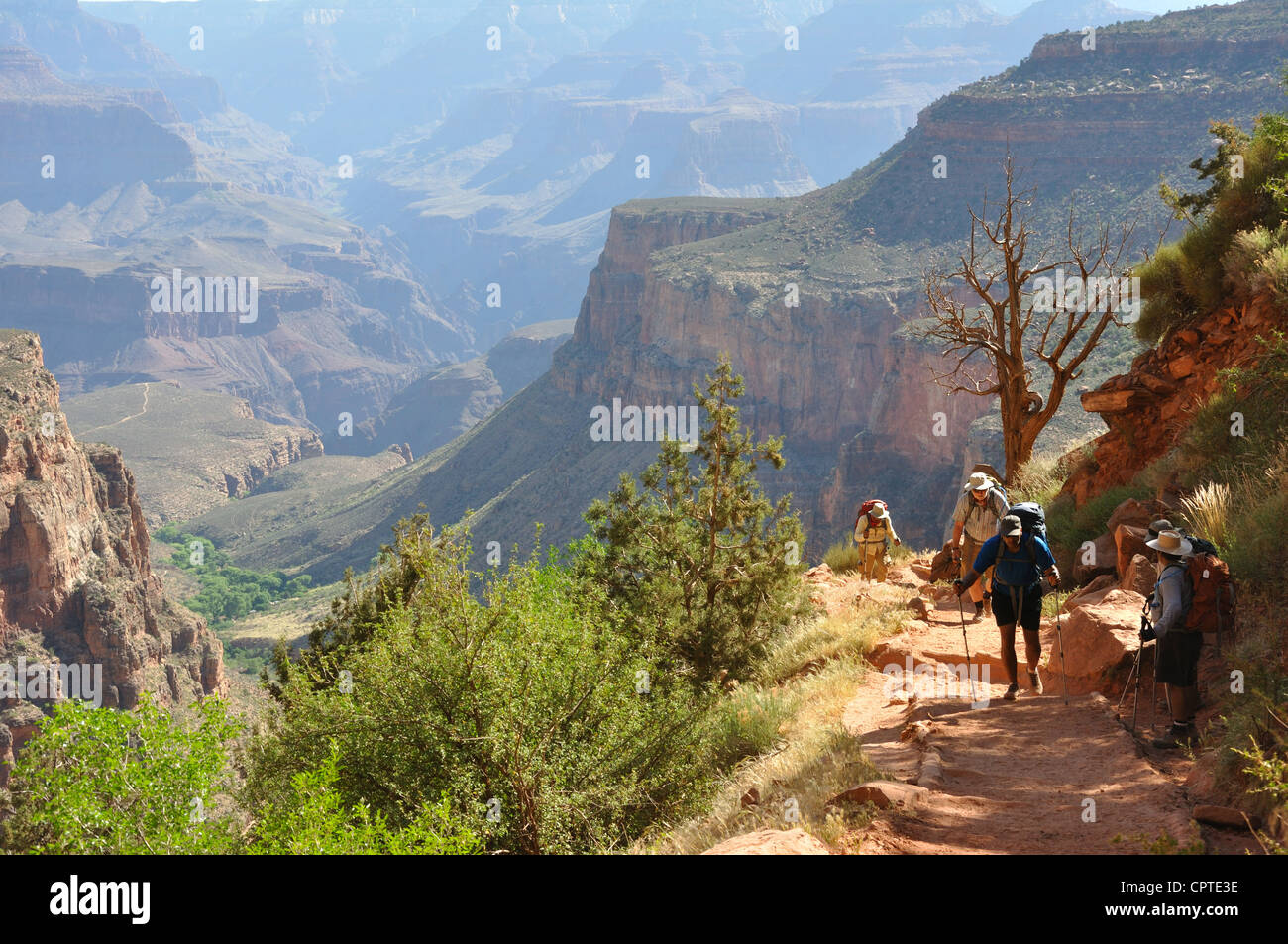 Il Bright Angel trail, Grand Canyon, Arizona, Stati Uniti d'America Foto Stock