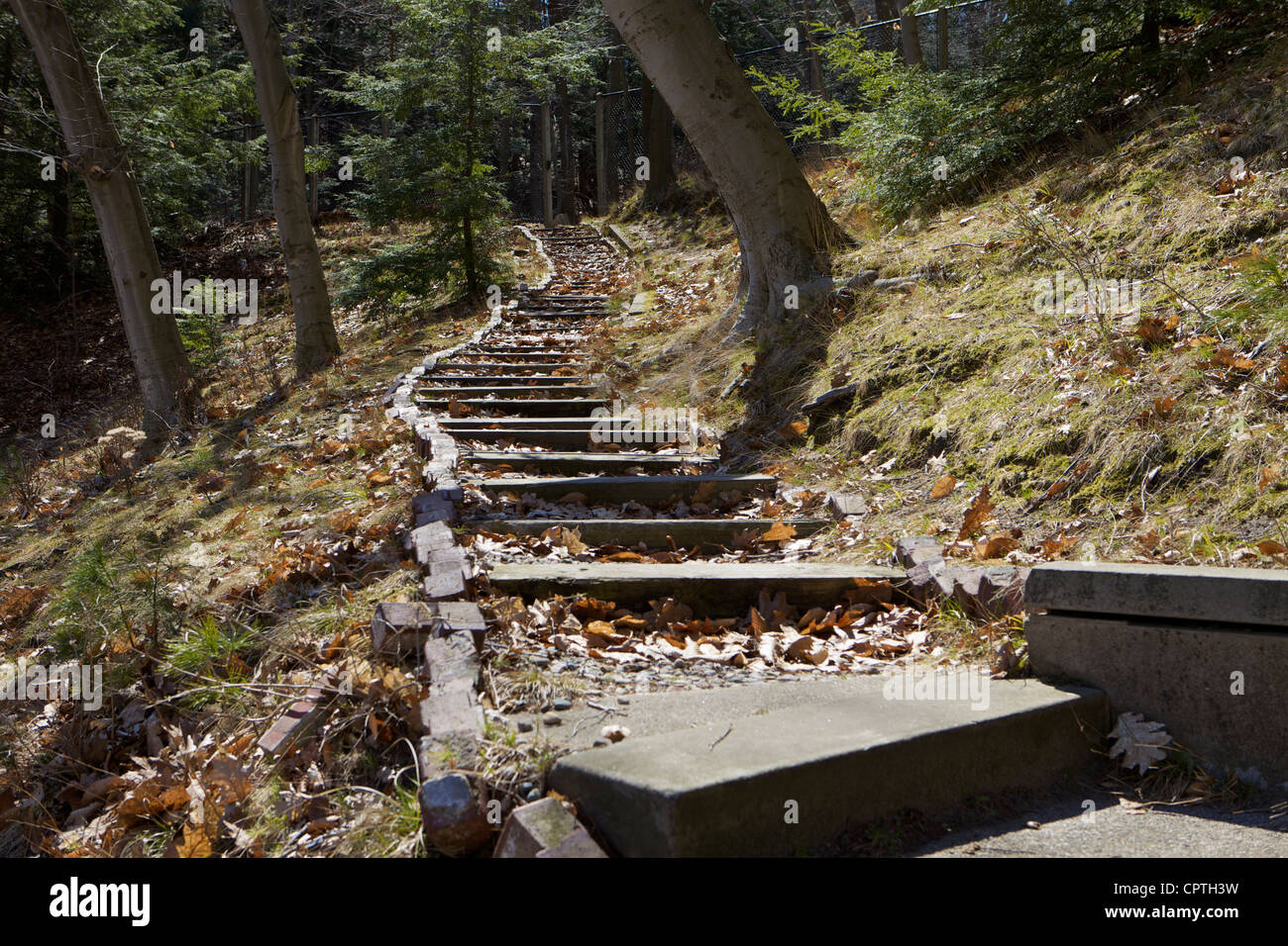 Scala di inferno in Lake Forest Cemetery, Grand Haven Foto Stock