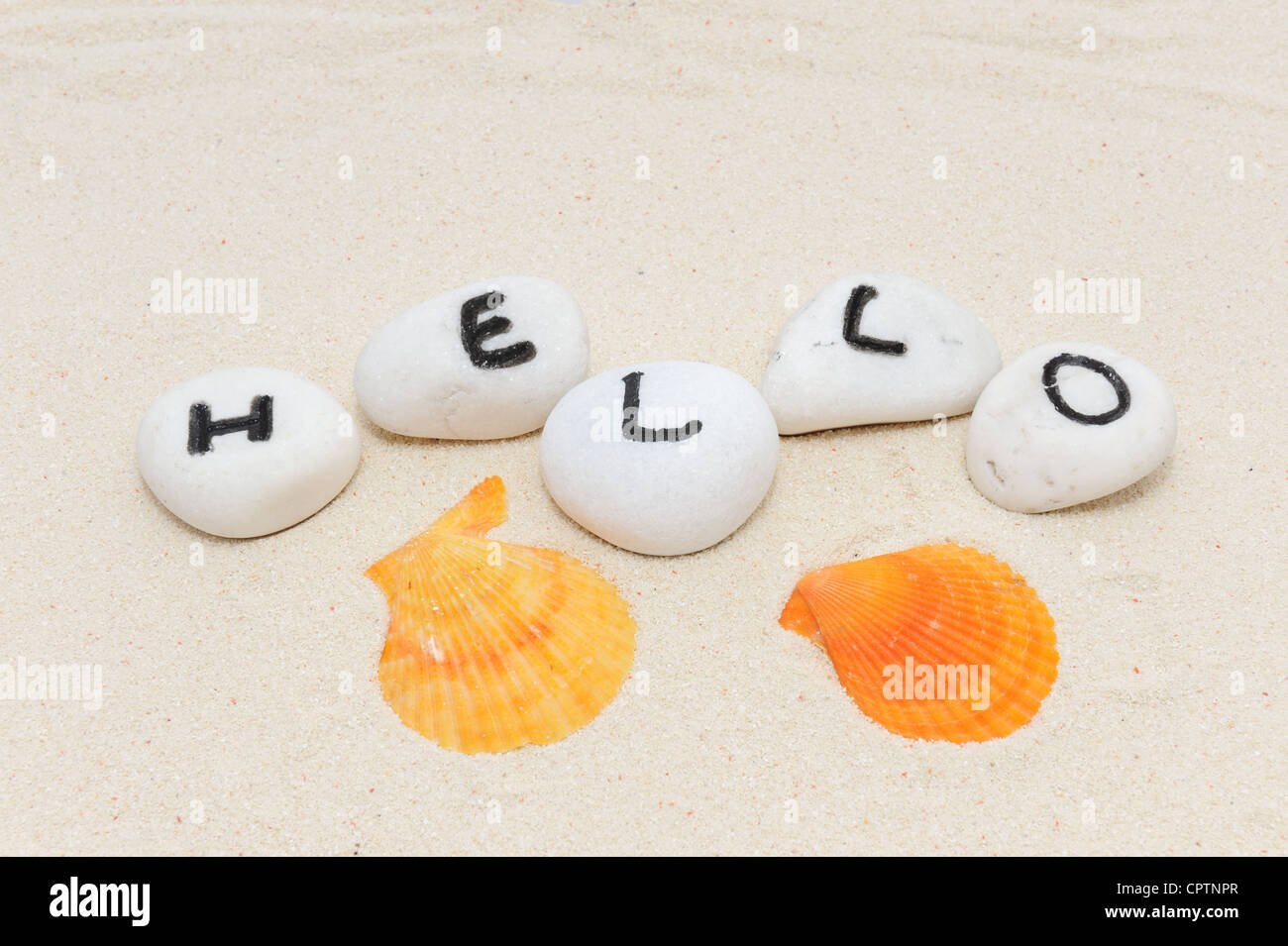 Hello Word sul gruppo di pietre decorate con conchiglie di mare Foto Stock