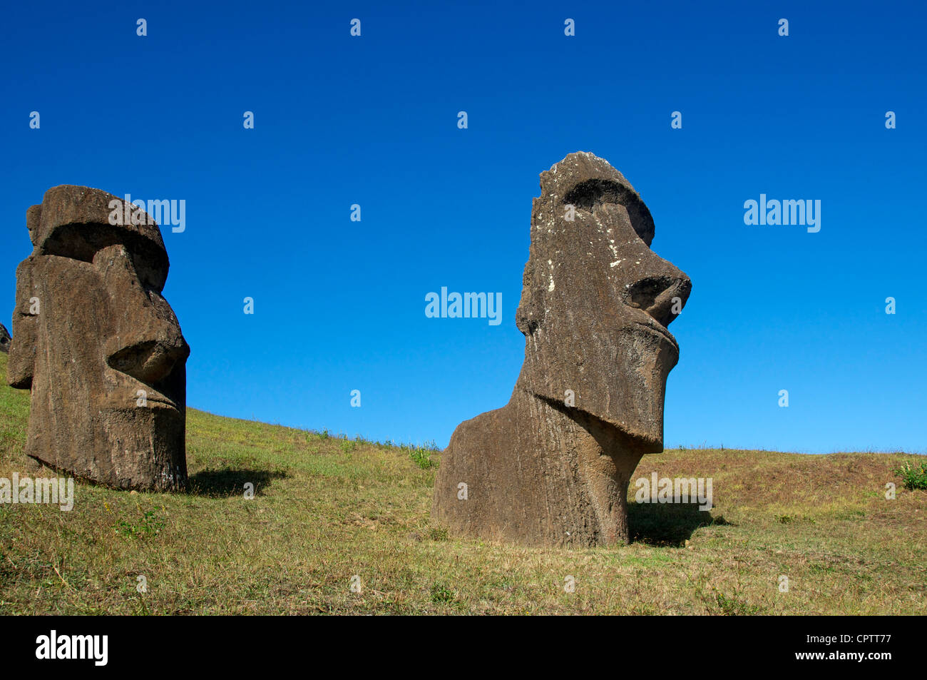 Due Moai Rano Raraku Isola di Pasqua Cile Foto Stock