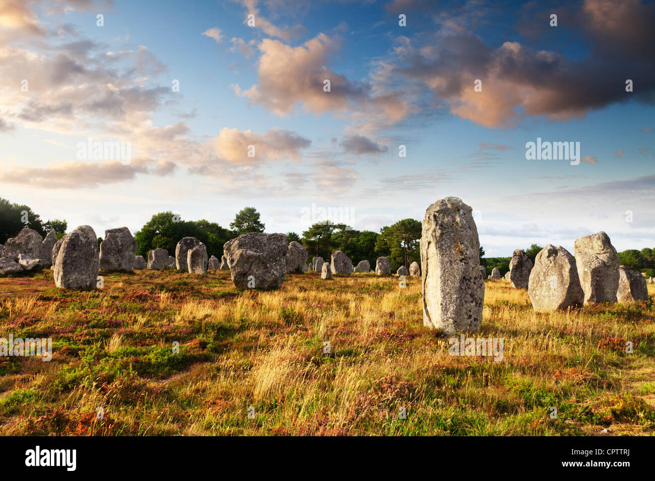 Alcune delle 3000 pietre permanente a Carnac, Brittany, Francia. Foto Stock
