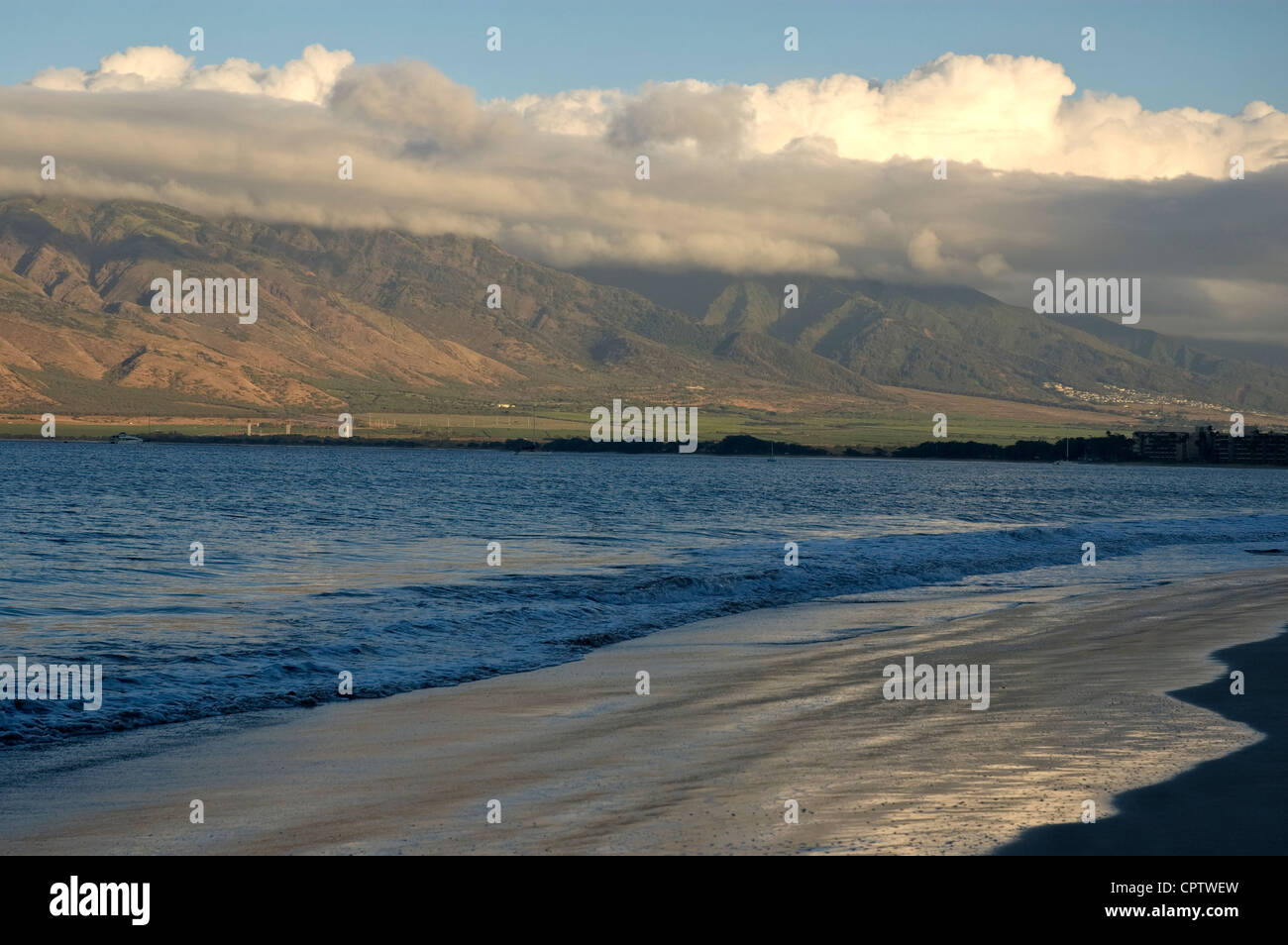 Elk284-4096 Hawaii Maui, Ma'alaea Bay Foto Stock