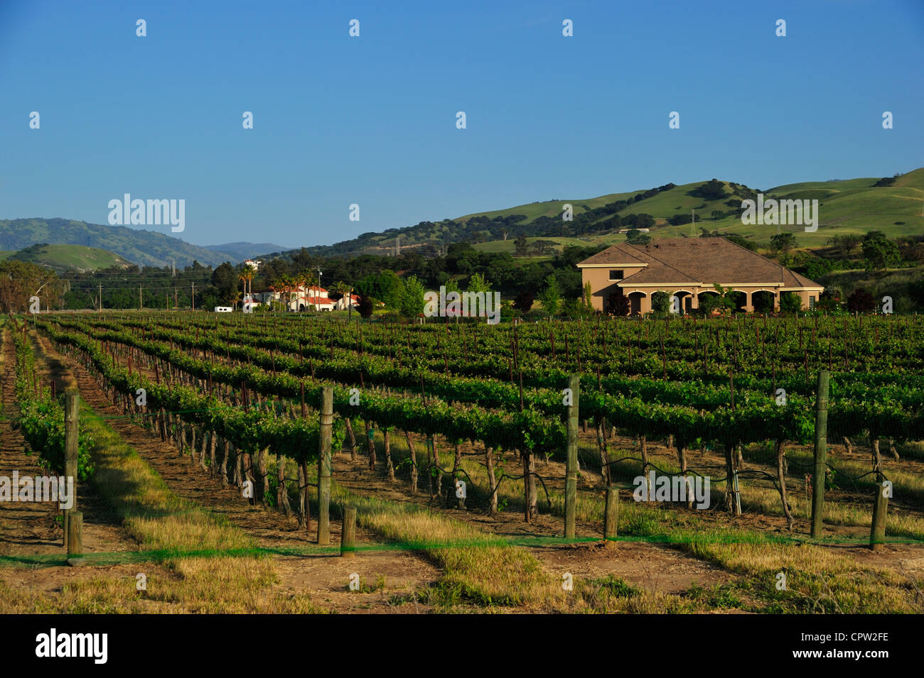 La Thomas Stephen Coyne vigneti attorno a Livermore, California CA Foto Stock