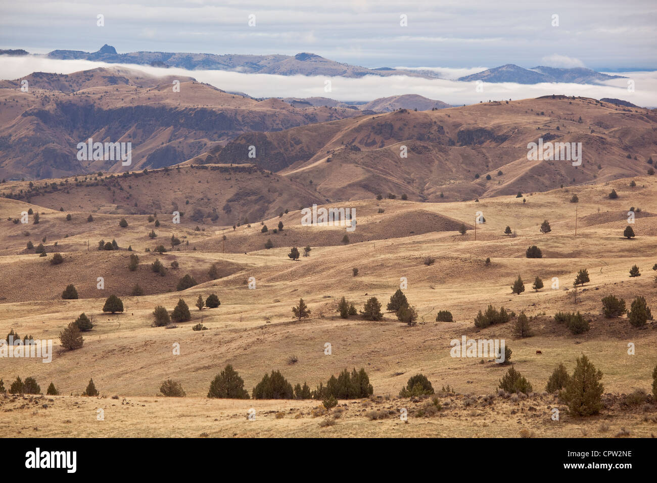 Wasco County, O: Vista di lontane colline di tutta la giornata di John River Valley Foto Stock