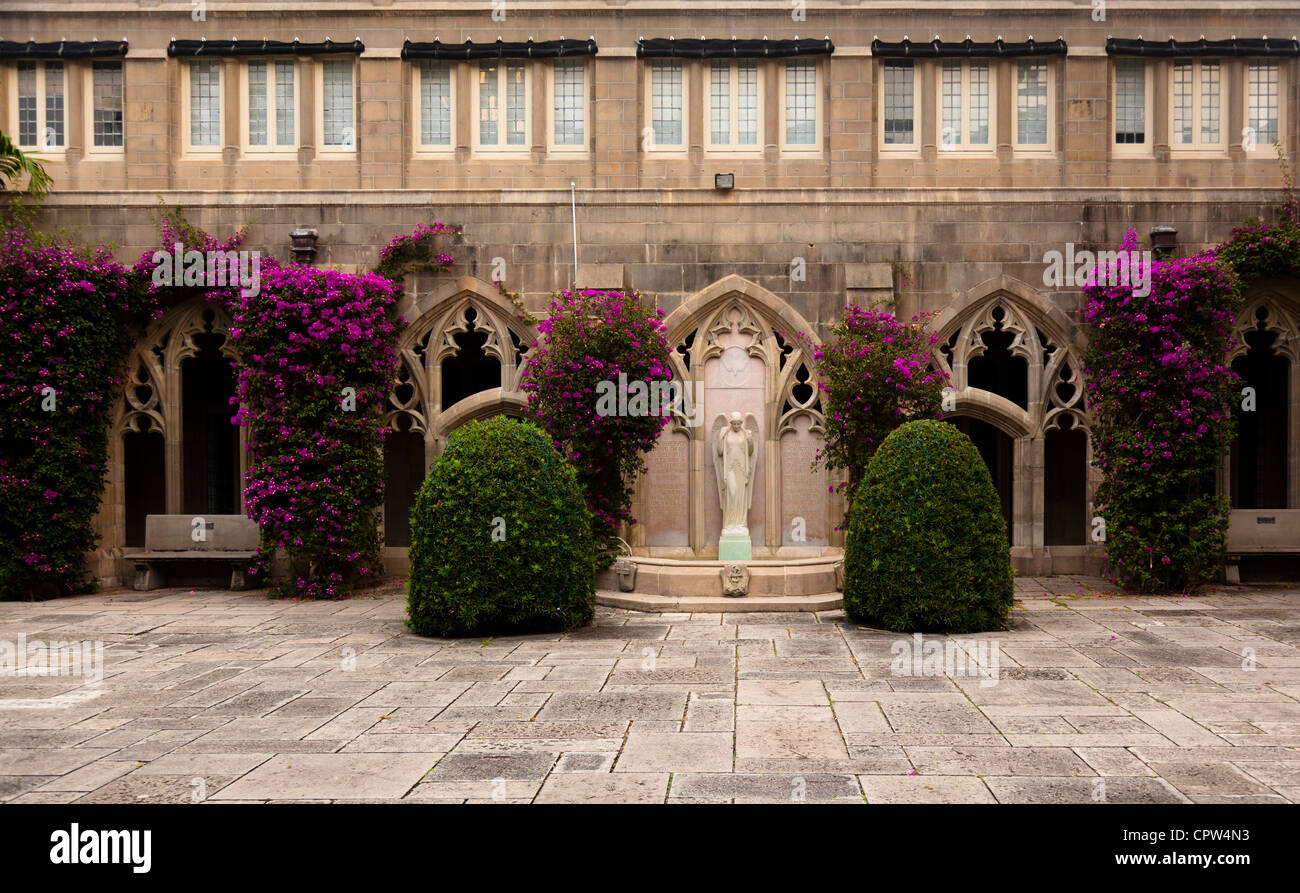 Chiesa cortile con bougainvilla. Foto Stock