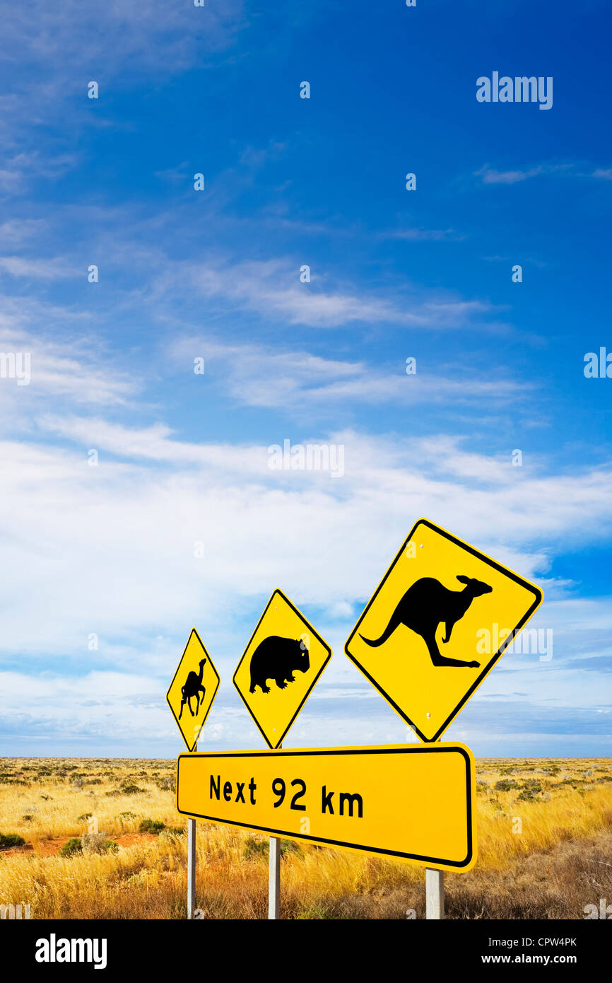 Famoso segno su Nullarbor Plain, Sud Australia, avviso agli automobilisti di cammelli, Wombats e canguri e big sky. Foto Stock