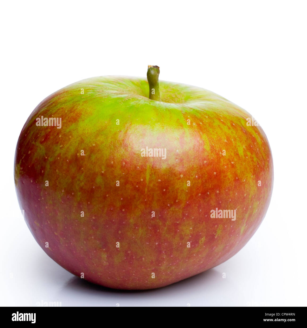 Cox's Orange Pippin, un rosso e verde molto saporita mela, isolato su bianco. Foto Stock